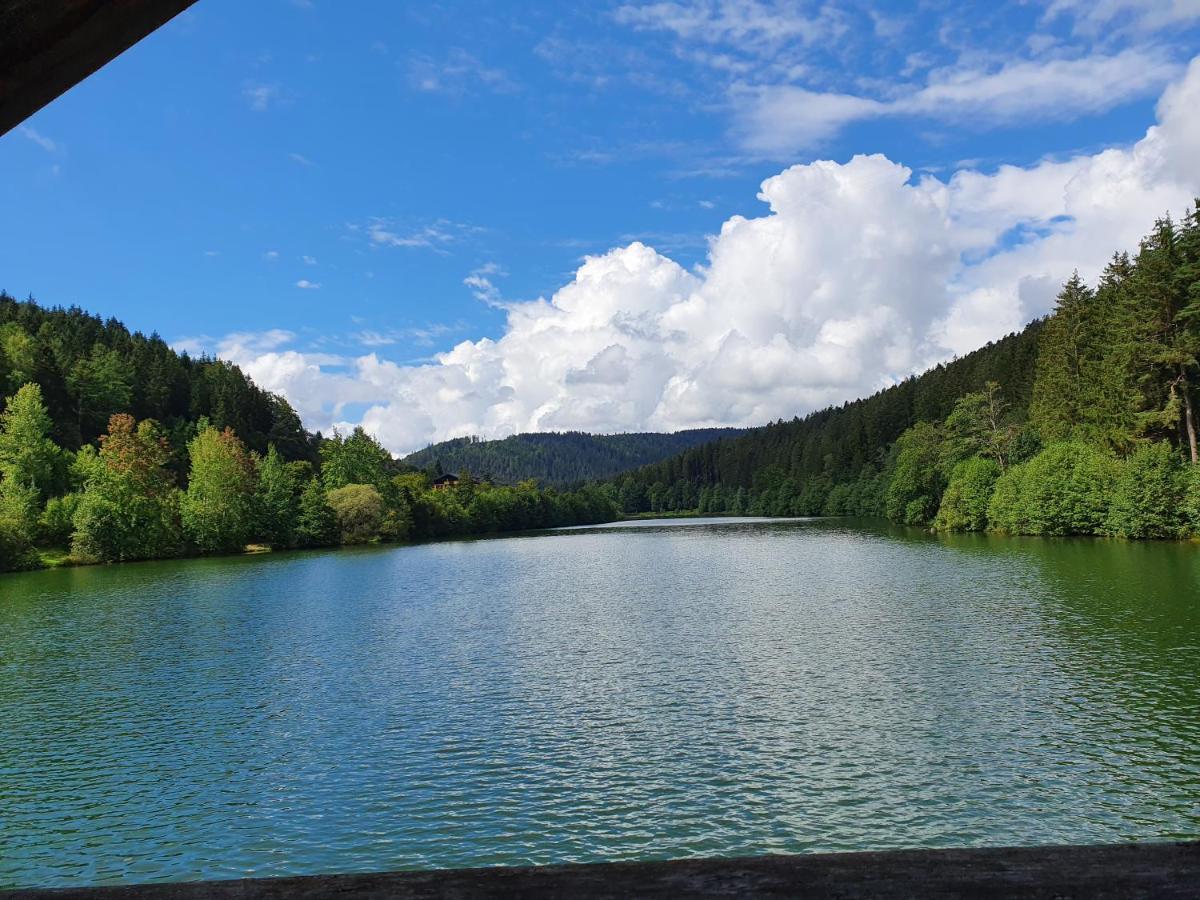 Haus Adler - Komplettes Ferienhaus Am Badesee Erzgrube Εξωτερικό φωτογραφία